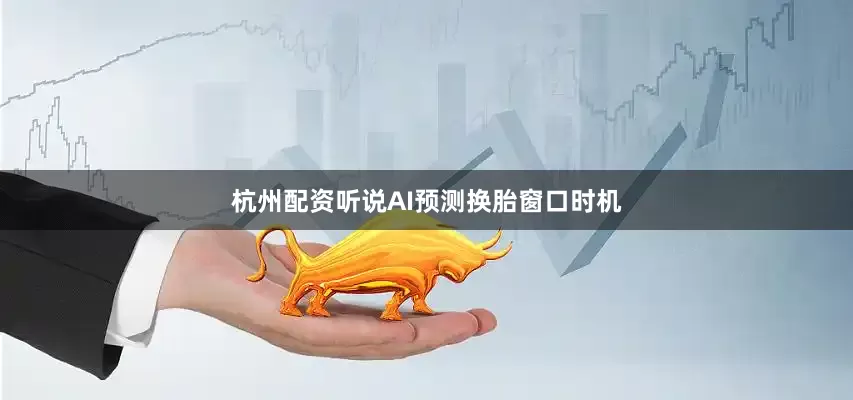 杭州配资听说AI预测换胎窗口时机