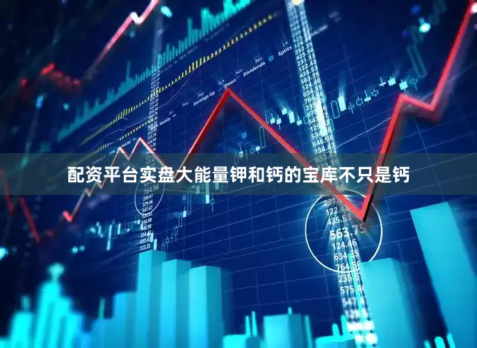 配资平台实盘大能量钾和钙的宝库不只是钙