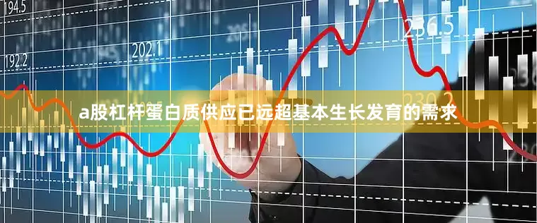 a股杠杆蛋白质供应已远超基本生长发育的需求